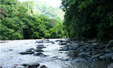 Finca en venta  de 344 HAS en Cerro Punta-Chiriquí (AA)