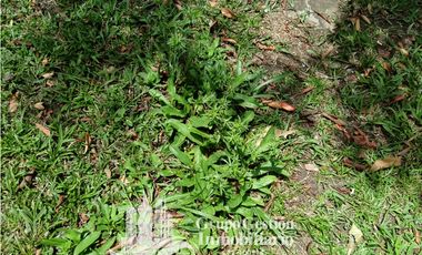 Casa en Venta al Lado de Boquete