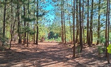 Parcela en Venta en Sector Los Cristales, camino interior a Vichuquén