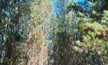Parcela en Venta en Sector Los Cristales, camino interior a Vichuquén