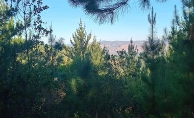 Parcela en Venta en Sector Los Cristales, camino interior a Vichuquén