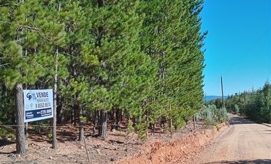 Parcela en Venta en Sector Los Cristales, camino interior a Vichuquén