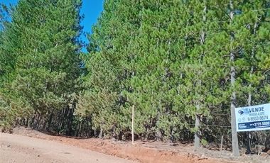 Parcela en Venta en Sector Los Cristales, camino interior a Vichuquén