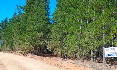 Parcela en Venta en Sector Los Cristales, camino interior a Vichuquén