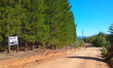 Parcela en Venta en Sector Los Cristales, camino interior a Vichuquén