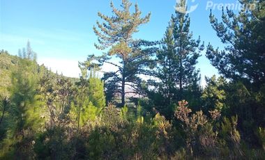 Parcela en Venta en Sector Los Cristales, camino interior a Vichuquén