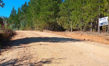 Parcela en Venta en Sector Los Cristales, camino interior a Vichuquén