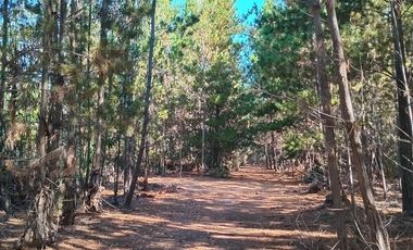Parcela en Venta en Sector Los Cristales, camino interior a Vichuquén