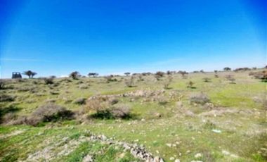 Parcela en Venta en Purapel