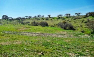 Parcela en Venta en Purapel
