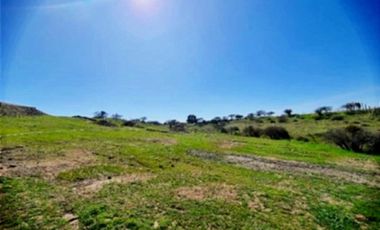 Parcela en Venta en Purapel
