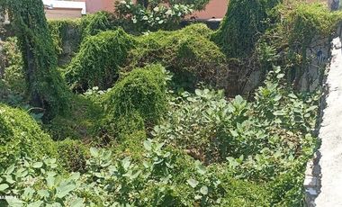 Terreno en venta en Garibaldi CDMX