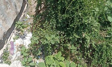 Terreno en venta en Garibaldi CDMX