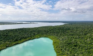 Lotes Bacalar Jungle Fase 3