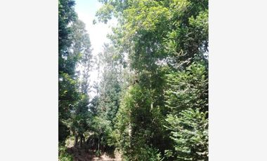 Terreno en Venta en La Gallera
