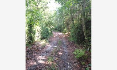 Terreno en Venta en La Gallera