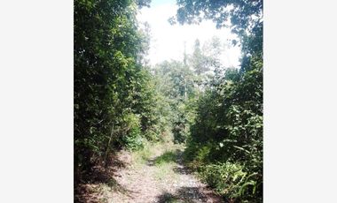 Terreno en Venta en La Gallera