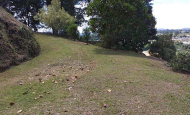 Finca en venta en rionegro - la convención