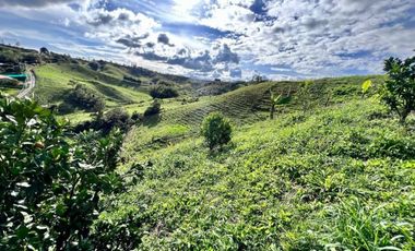 Lote en venta en marinilla - alto del chocho