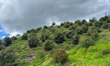 Finca en venta en abejorral - rural