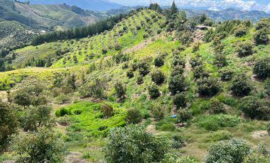 Finca en venta en abejorral - rural