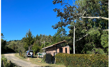 Finca en venta en abejorral - rural