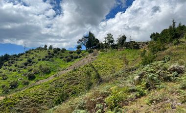 Finca en venta en abejorral - rural