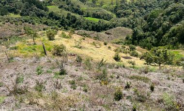 Finca en venta en abejorral - rural