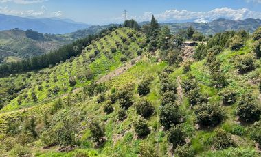 Finca en venta en abejorral - rural