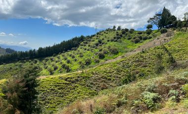 Finca en venta en abejorral - rural