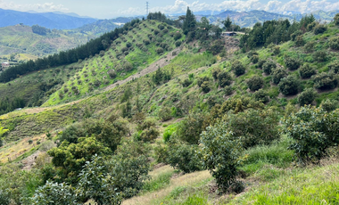 Finca en venta en abejorral - rural