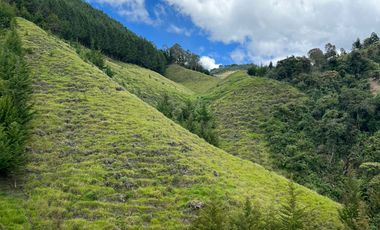 Finca en venta en abejorral - rural