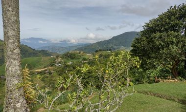 Finca independiente en venta en heliconia - rural