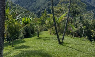 Finca independiente en venta en heliconia - rural