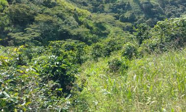 Finca independiente en venta en heliconia - rural