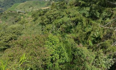 Finca independiente en venta en heliconia - rural