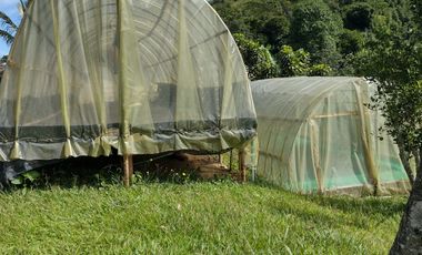Finca independiente en venta en heliconia - rural