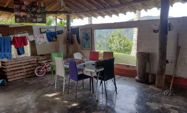 Finca independiente en venta en heliconia - rural