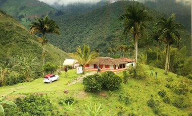 Finca independiente en venta en heliconia - rural