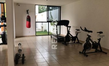 DEPARTAMENTO EN XOXOCOTLAN - (3)