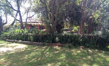 VENTA DE LA HACIENDA SAN AGUSTIN - (3)