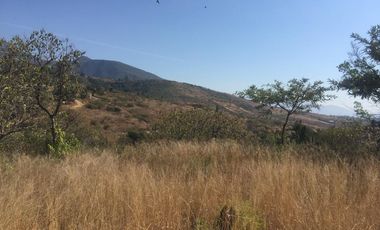 TERRENO EN VENTA EN GUADALUPE VICTORIA - (3)