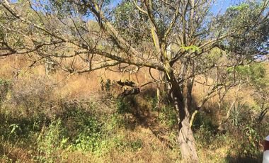 TERRENO EN VENTA EN GUADALUPE VICTORIA - (3)