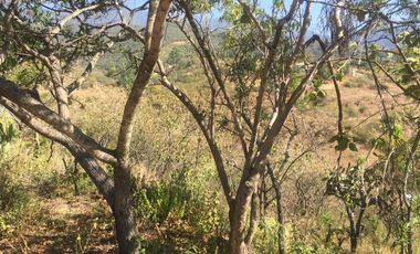 TERRENO EN VENTA EN GUADALUPE VICTORIA - (3)