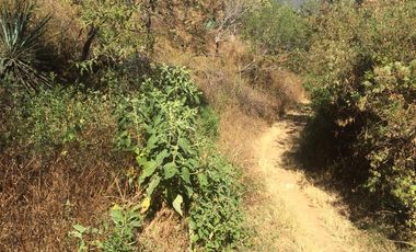 TERRENO EN VENTA EN GUADALUPE VICTORIA - (3)