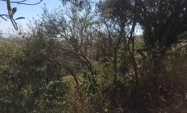 TERRENO EN VENTA EN GUADALUPE VICTORIA - (3)