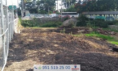 TERRENO EN RENTA SOBRE LA AVENIDA PORFIRIO DIAZ - (3)