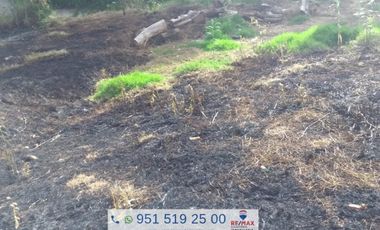 TERRENO EN RENTA SOBRE LA AVENIDA PORFIRIO DIAZ - (3)