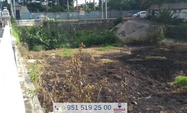 TERRENO EN RENTA SOBRE LA AVENIDA PORFIRIO DIAZ - (3)