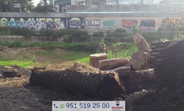 TERRENO EN RENTA SOBRE LA AVENIDA PORFIRIO DIAZ - (3)